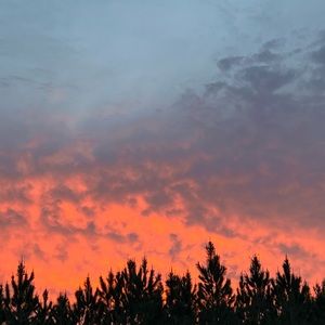 Meet your Posher, Alcides